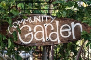 Community-image-2