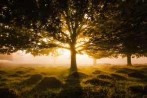 Environment-image