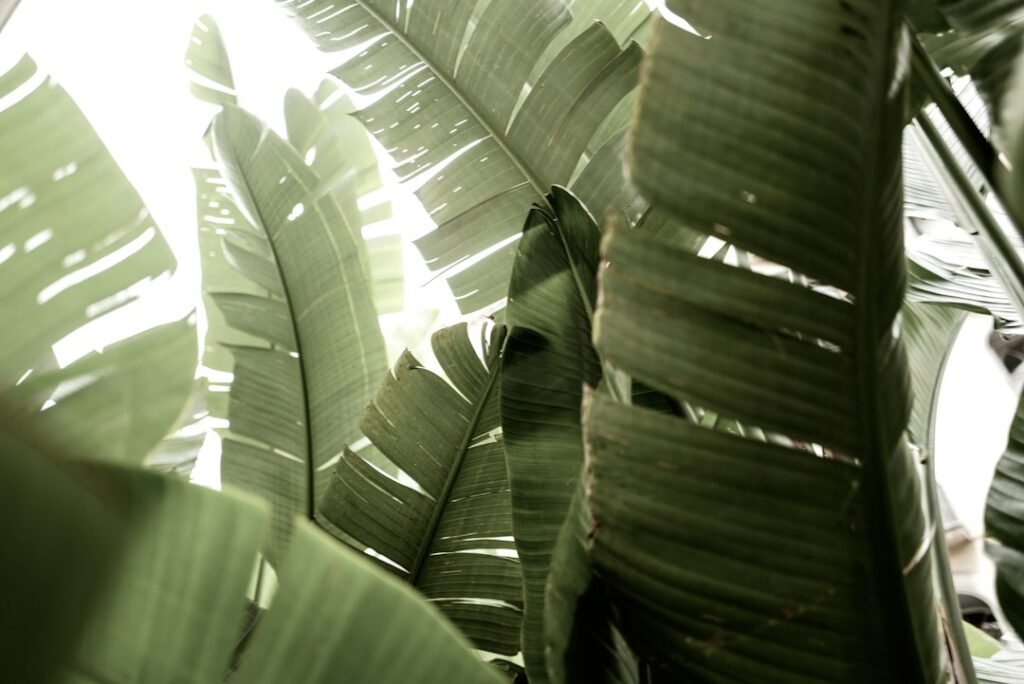 Lifestyle-image-1