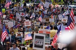 Politics-image-1