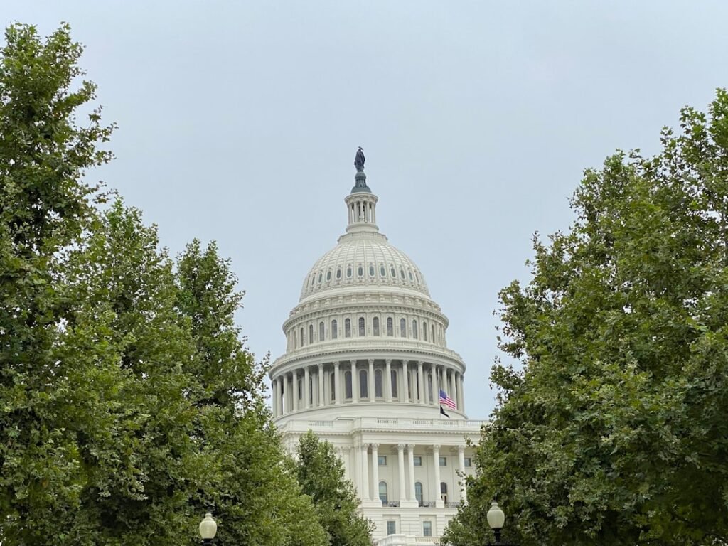 Politics-image-3