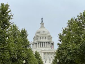 Politics-image-3