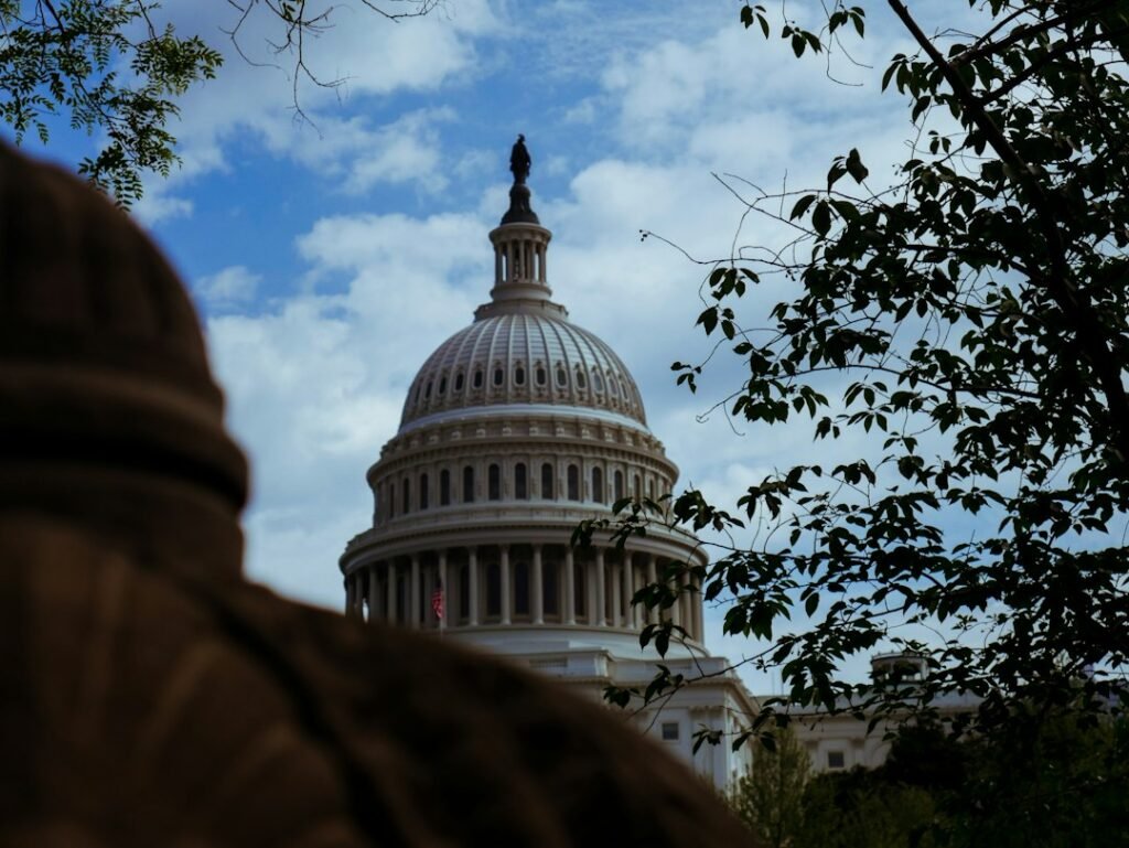 Politics-image-41