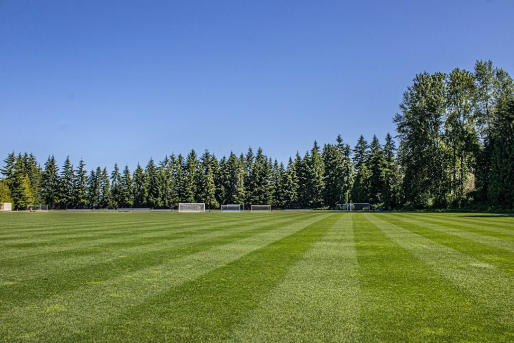 Sports-image-57