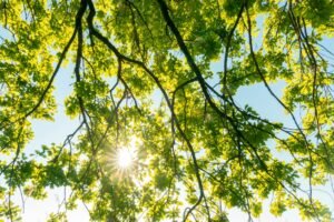 Health-image-3